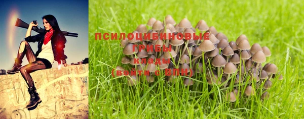 стафф Кукмор