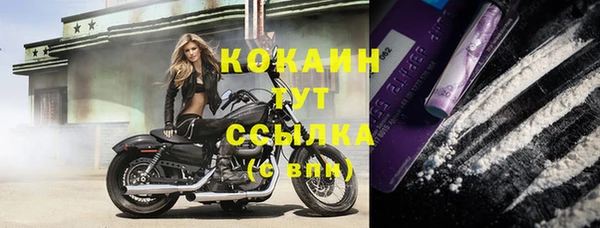 шишки Кулебаки